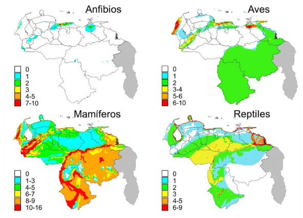 Figura 2. Número de especies en 100km2 de anfibios, aves, mamíferos y reptiles amenazados de Venezuela.